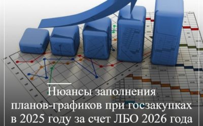 Нюансы заполнения планов-графиков при госзакупках в 2025 году за счет ЛБО 2026 года